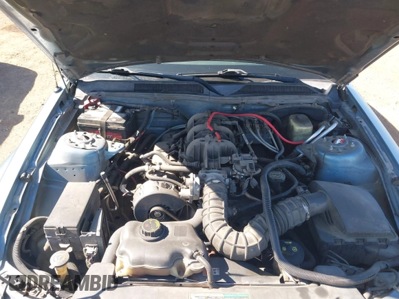 2005 Ford Mustang Deluxe with VIN 1ZVFT80N655215076, listed as a IAAI auction lot 42851590 with 295,317 mi miles and . Bid and sale history available at DreamBid. Image 10.