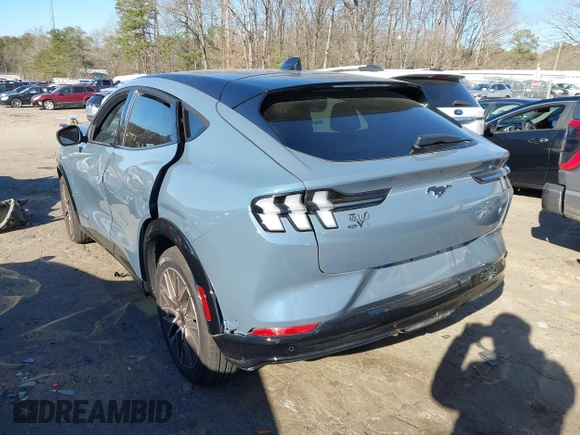 2024 Ford Mustang Mach-E Premium with VIN 3FMTK3R73RMA49000, listed as a IAAI auction lot 41739759 with 5,392 mi miles and . Bid and sale history available at DreamBid. Image 3.