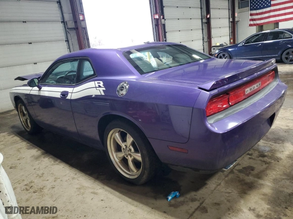 2010 Dodge Challenger R/T with VIN 2B3CJ5DTXAH173115, listed as a Copart auction lot 49111015 with 106,798 mi miles and Salvage Title. Bid and sale history available at carsss.com. Image 2.