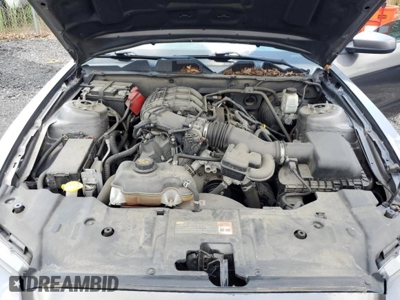 2014 Ford Mustang V6 with VIN 1ZVBP8AM0E5302352, listed as a Copart auction lot 56413535 with 115,826 mi miles and Salvage title. Bid and sale history available at DreamBid. Image 11.