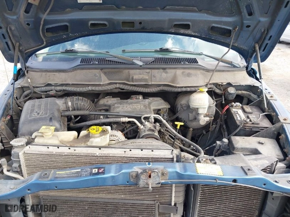 2005 Dodge Ram 1500 SLT with VIN 1D7HA18D95S210076, listed as a IAAI auction lot 41568383 with 239,634 mi miles. Bid and sale history available at carsss.com. Image 10.