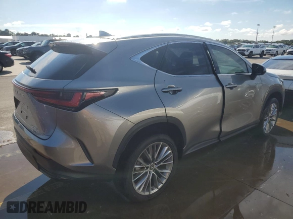 2023 Lexus NX with VIN 2T2HGCEZ8PC020712, listed as a Copart auction lot 73797474 with 3,605 mi miles and Non Repairable. Bid and sale history available at carsss.com. Image 3.