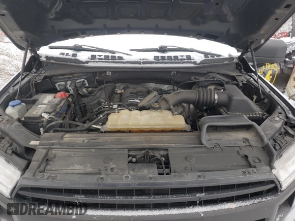 2019 Ford F-150 XL with VIN 1FTMF1E50KKC81427, listed as a Copart auction lot 41567105 with Not provided miles and Salvage title. Bid and sale history available at DreamBid. Image 11.