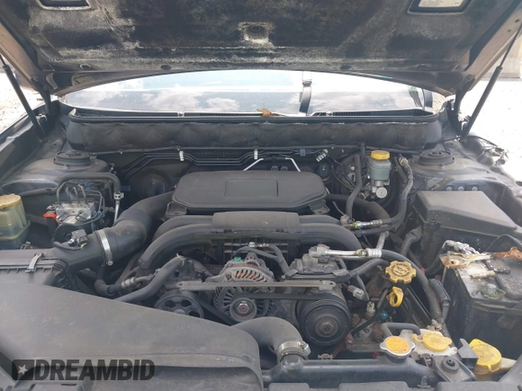2010 Subaru Outback Premium All-Weather Anniversary with VIN 4S4BRBCC6A3324033, listed as a IAAI auction lot 42398852 with 175,369 mi miles and . Bid and sale history available at DreamBid. Image 10.