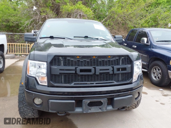 2010 Ford F-150 XL with VIN 1FTEX1EW1AFB90443, listed as a IAAI auction lot 41955720 with 184,104 mi miles. Bid and sale history available at carsss.com. Image 12.