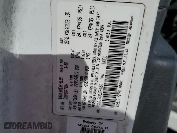 2002 Dodge 1500 with VIN 1D7HA16K32J224753, listed as a Copart auction lot 79841324 with 117,715 mi miles and Salvage Title. Bid and sale history available at DreamBid. Image 12.