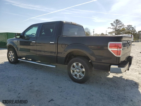 2013 Ford F-150 XL with VIN 1FTEW1CMXDFB15023, listed as a Copart auction lot 50212175 with 195,482 mi miles and Salvage Title. Bid and sale history available at carsss.com. Image 2.