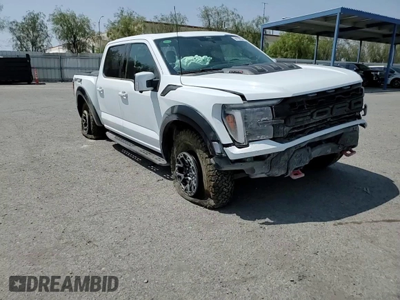 2024 Ford F-150 Raptor with VIN 1FTFW1RJ6RFA64547, listed as a Copart auction lot 64700194 with Not Provided miles and Salvage Title. Bid and sale history available at DreamBid. Image 11.