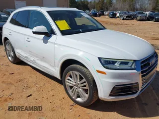 2018 Audi Q5 Premium Plus with VIN WA1BNAFYXJ2079819, listed as a IAAI auction lot 41667923 with 123,319 mi miles. Bid and sale history available at carsss.com. Image 1.