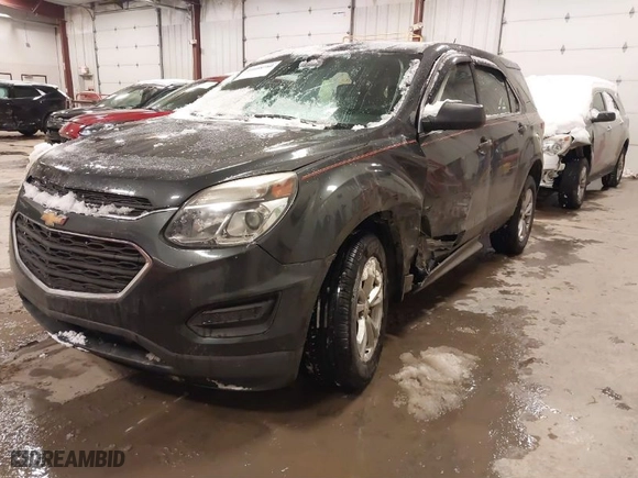 2017 Chevrolet Equinox LS with VIN 2GNFLEEK0H6146465, listed as a IAAI auction lot 41608780 with 124,643 mi miles. Bid and sale history available at carsss.com. Image 6.