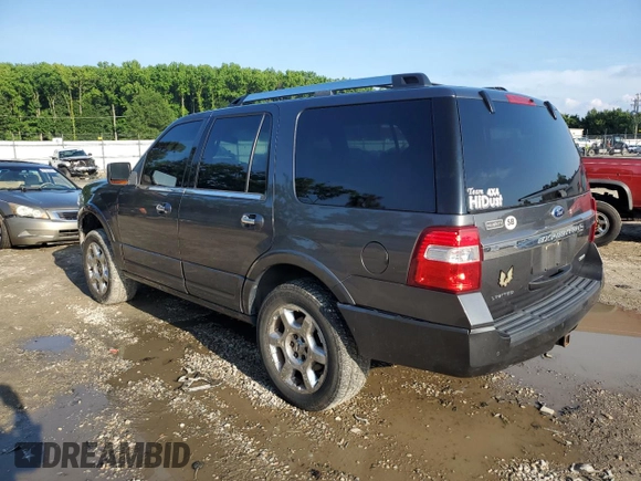 2015 Ford Expedition Limited with VIN 1FMJU2AT1FEF12516, listed as a Copart auction lot 60999455 with 166,243 mi miles and Salvage title. Bid and sale history available at DreamBid. Image 2.