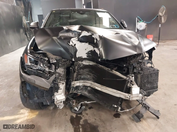 2019 Lamborghini Urus with VIN ZPBUA1ZL4KLA03222, listed as a IAAI auction lot 41920029 with 57,055 mi miles. Bid and sale history available at carsss.com. Image 19.