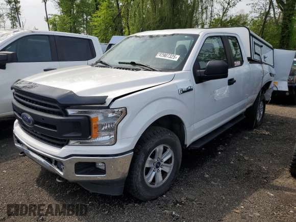 2020 Ford F-150 XL with VIN 1FTEX1EP5LKD79714, listed as a Copart auction lot 42907325 with Not provided miles and Salvage title. Bid and sale history available at DreamBid. Image 1.