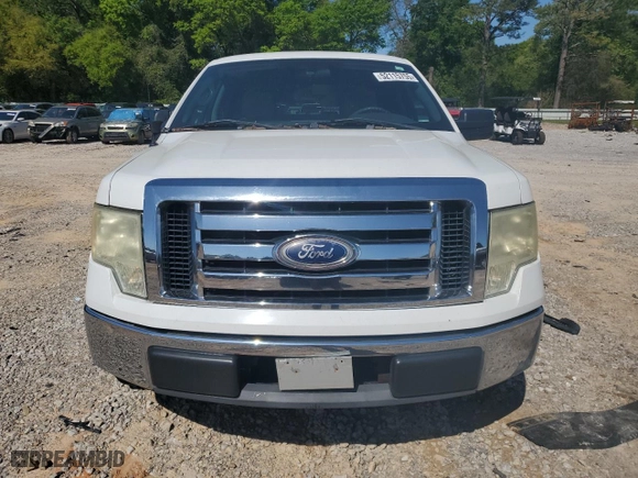 2010 Ford F-150 XL with VIN 1FTEW1C89AKE20633, listed as a Copart auction lot 52115755 with 225,443 mi miles and Salvage Title. Bid and sale history available at carsss.com. Image 5.