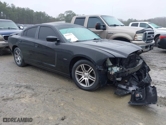 2013 Dodge Charger RT Max with VIN 2C3CDXCT1DH711065, listed as a IAAI auction lot 41512711 with 163,738 mi miles. Bid and sale history available at carsss.com. Image 13.
