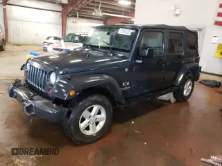 2007 Jeep Wrangler Unlimited X with VIN 1J4GA39197L145890, listed as a Copart auction lot 57981225 with 260,361 mi miles and Clean title. Bid and sale history available at DreamBid. Image 1.