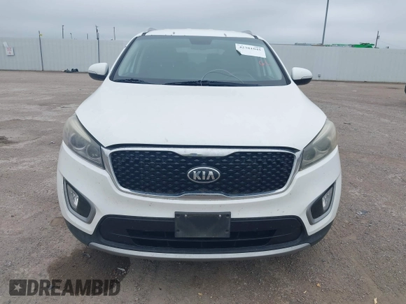 2017 Kia Sorento EX with VIN 5XYPH4A54HG307072, listed as a IAAI auction lot 42381045 with 231,533 mi miles and . Bid and sale history available at DreamBid. Image 12.