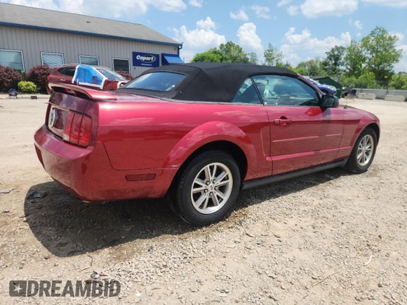 2005 Ford Mustang Deluxe with VIN 1ZVFT84N455187062, listed as a Copart auction lot 61953205 with 112,238 mi miles and Non repairable. Bid and sale history available at DreamBid. Image 3.