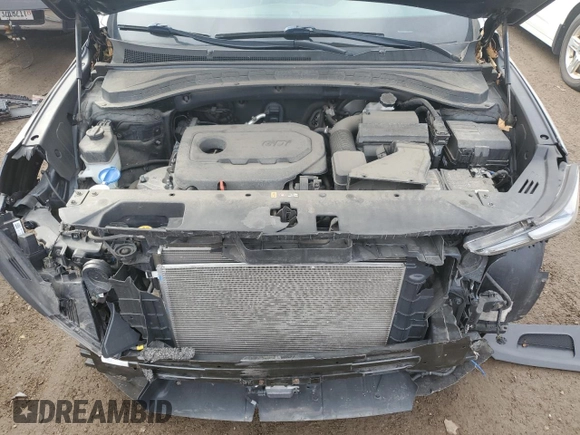 2019 Hyundai Santa Fe SEL with VIN 5NMS33AD8KH054362, listed as a Copart auction lot 49245625 with 43,853 mi miles and Salvage Title. Bid and sale history available at DreamBid. Image 11.