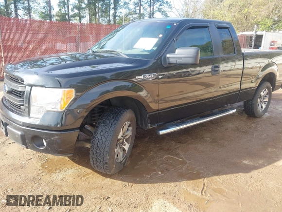 2013 Ford F-150 XL with VIN 1FTFX1CF5DFE02000, listed as a IAAI auction lot 41864702 with 185,992 mi miles. Bid and sale history available at carsss.com. Image 16.