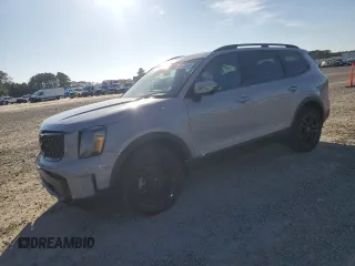 2024 Kia Telluride EX with VIN 5XYP3DGC4RG502630, listed as a Copart auction lot 42859305 with 14,939 mi miles and Salvage Title. Bid and sale history available at carsss.com. Image 1.