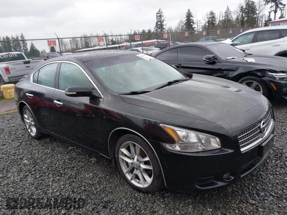2009 Nissan Maxima SV with VIN 1N4AA51E39C856967, listed as a IAAI auction lot 41919510 with 231,933 mi miles and . Bid and sale history available at DreamBid. Image 13.