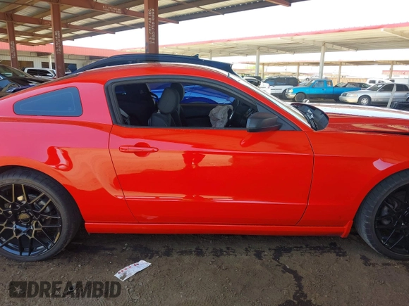 2013 Ford Mustang V6 с VIN 1ZVBP8AM4D5276112, выставлен на аукционе IAAI как лот 42543725 с пробегом Не указан миль и . История ставок и продаж доступна на DreamBid. Изображение 14.