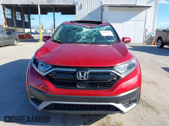 2020 Honda CR-V EX with VIN 2HKRW2H52LH667547, listed as a IAAI auction lot 41839762 with 34,933 mi miles. Bid and sale history available at carsss.com. Image 12.