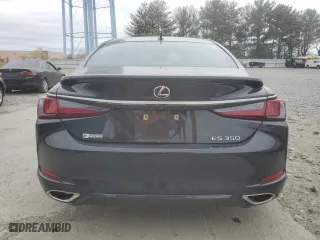 2019 Lexus ES with VIN 58ABZ1B18KU006381, listed as a Copart auction lot 53826425 with 44,501 mi miles and Salvage Title. Bid and sale history available at carsss.com. Image 6.