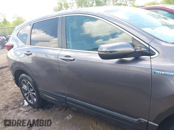 2020 Honda CR-V EX-L with VIN 7FART6H86LE013079, listed as a IAAI auction lot 42254685 with 8,822 mi miles and . Bid and sale history available at DreamBid. Image 14.