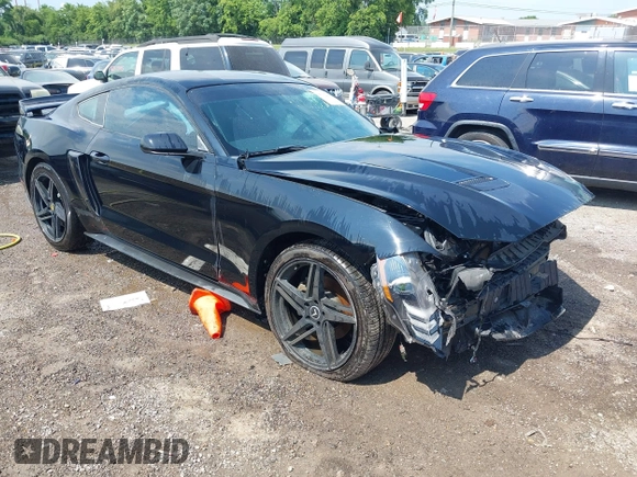 2018 Ford Mustang EcoBoost with VIN 1FA6P8TH0J5171587, listed as a IAAI auction lot 42591299 with Not provided miles and . Bid and sale history available at DreamBid. Image 1.