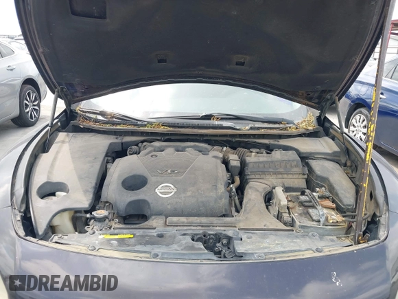 2013 Nissan Maxima SV with VIN 1N4AA5AP9DC810926, listed as a IAAI auction lot 42160018 with 166,525 mi miles and . Bid and sale history available at DreamBid. Image 10.