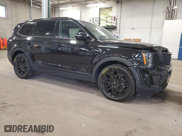 2022 Kia Telluride SX with VIN 5XYP5DHC1NG282155, listed as a Copart auction lot 53046715 with 43,921 mi miles and Salvage title. Bid and sale history available at DreamBid. Image 4.