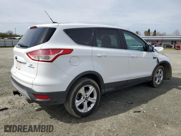 2014 Ford Escape SE with VIN 1FMCU0G93EUB17038, listed as a Copart auction lot 49819315 with 0 mi miles and Salvage Title. Bid and sale history available at carsss.com. Image 3.