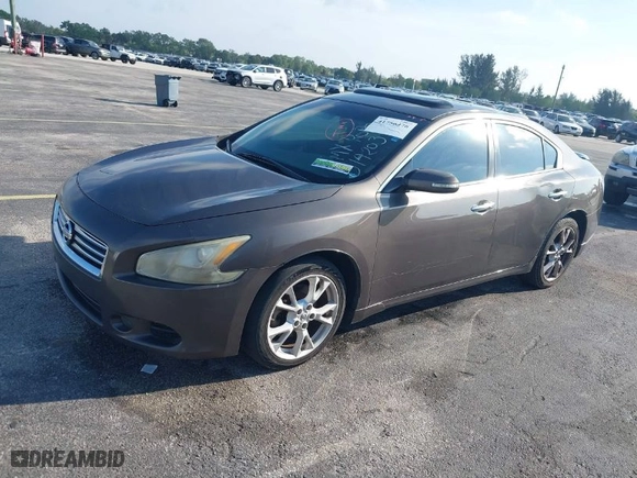 2013 Nissan Maxima 3.5 SV w/Premium Pkg with VIN 1N4AA5AP0DC814203, listed as a IAAI auction lot 41756476 with 179,164 mi miles. Bid and sale history available at carsss.com. Image 2.
