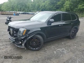 2022 Kia Telluride EX with VIN 5XYP3DHC5NG207139, listed as a Copart auction lot 60104755 with 101,632 mi miles and Salvage title. Bid and sale history available at DreamBid. Image 1.