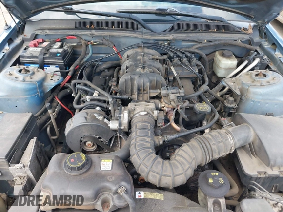 2005 Ford Mustang Deluxe with VIN 1ZVFT84N555175518, listed as a IAAI auction lot 42427276 with 196,095 mi miles and . Bid and sale history available at DreamBid. Image 10.