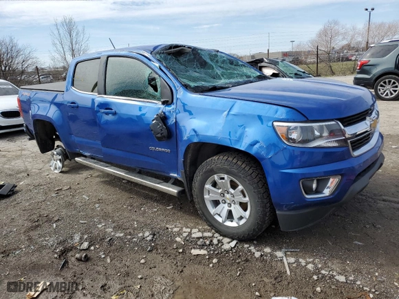 2019 Chevrolet Colorado 4WD LT with VIN 1GCGTCENXK1336277, listed as a Copart auction lot 49503385 with 19,025 mi miles and Salvage Title. Bid and sale history available at carsss.com. Image 4.