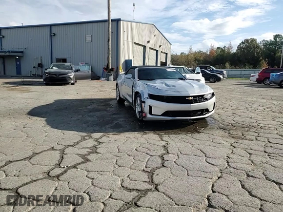2019 Chevrolet Camaro 1LT with VIN 1G1FB3DX1K0132435, listed as a Copart auction lot 81133594 with 133,942 mi miles and Salvage Title. Bid and sale history available at carsss.com. Image 14.