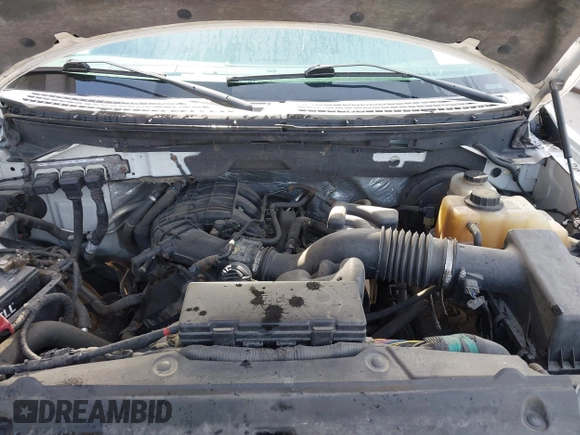 2011 Ford F-150 XL with VIN 1FTMF1CM7BKD08441, listed as a IAAI auction lot 42607092 with 348,991 mi miles and . Bid and sale history available at DreamBid. Image 10.