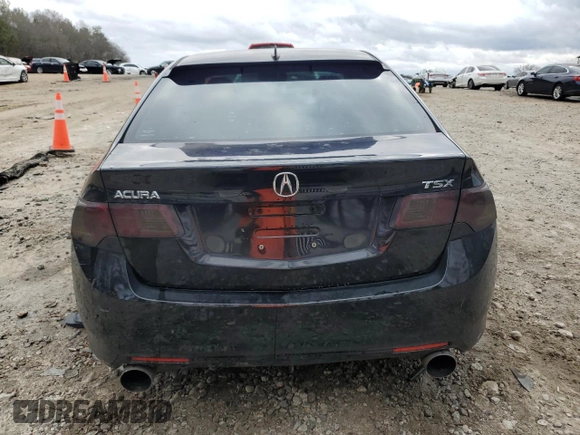 2010 Acura TSX with VIN JH4CU2F64AC004897, listed as a Copart auction lot 44047195 with 0 mi miles and Salvage Title. Bid and sale history available at carsss.com. Image 6.