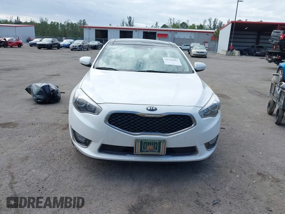 2015 Kia Cadenza Premium with VIN KNALN4D79F5178379, listed as a IAAI auction lot 41594983 with 56,205 mi miles. Bid and sale history available at carsss.com. Image 12.