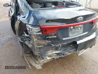 2019 Kia Forte S with VIN 3KPF34AD7KE066484, listed as a IAAI auction lot 41073964 with 118,946 mi miles. Bid and sale history available at carsss.com. Image 20.