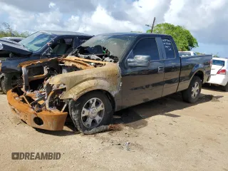 2010 Ford F-150 XL with VIN 1FTEX1CW6AFB80915, listed as a Copart auction lot 57243395 with Not provided miles and Non repairable. Bid and sale history available at DreamBid. Image 1.