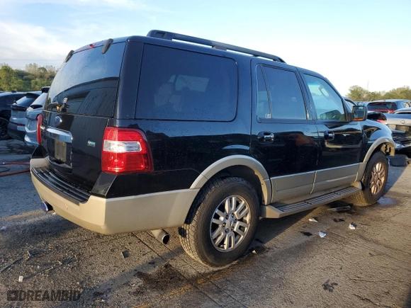 2009 Ford Expedition Eddie Bauer with VIN 1FMFU18529EB03713, listed as a Copart auction lot 73123284 with 206,768 mi miles and Salvage Title. Bid and sale history available at carsss.com. Image 3.