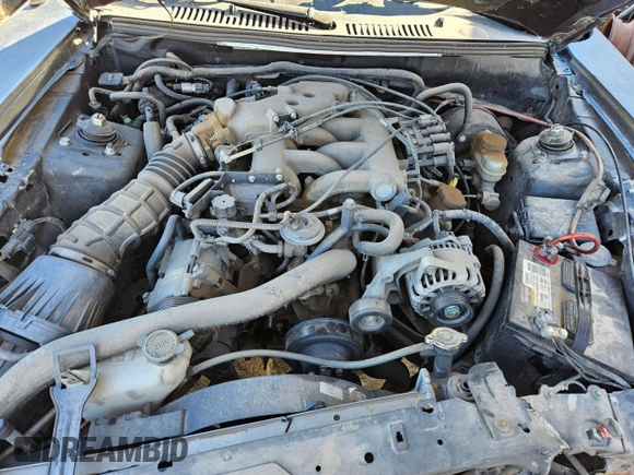 2004 Ford Mustang Standard with VIN 1FAFP406X4F239310, listed as a Copart auction lot 49748795 with 1,267,289 mi miles and Clean Title. Bid and sale history available at carsss.com. Image 7.