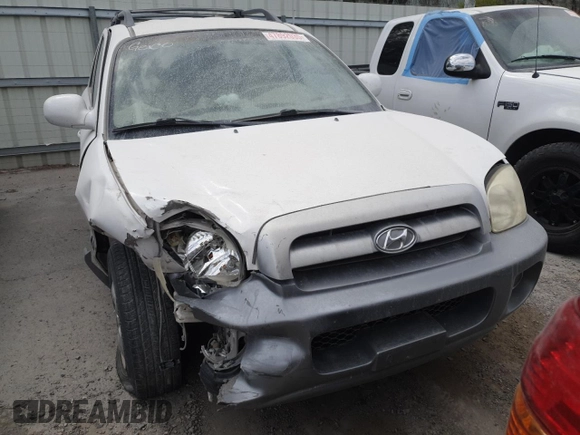 2005 Hyundai Santa Fe GLS z VIN KM8SC13E25U902481, wystawiony jako Copart lot #47892035 z przebiegiem 67 558 mil mil oraz Nie do naprawy • Non repairable. Historia ofert i sprzedaży dostępna na DreamBid. Obrazek 5.