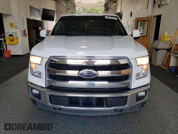 2017 Ford F-150 XL with VIN 1FTEW1EF5HFB70838, listed as a Copart auction lot 62206435 with 79,742 mi miles and Clean title. Bid and sale history available at DreamBid. Image 5.