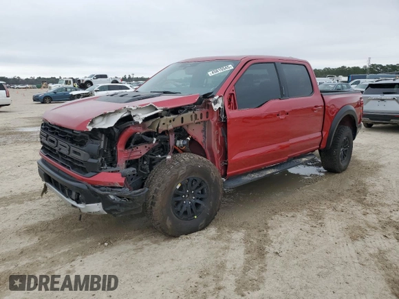 2024 Ford F-150 Raptor with VIN 1FTFW1RG6RFB13248, listed as a Copart auction lot 45015545 with 12,581 mi miles and Salvage Title. Bid and sale history available at DreamBid. Image 1.