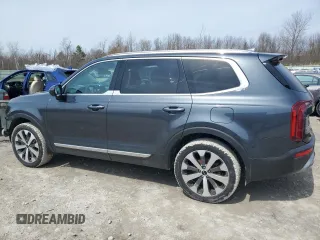 2022 Kia Telluride S with VIN 5XYP6DHC7NG244569, listed as a Copart auction lot 52546445 with 58,969 mi miles and Salvage Title. Bid and sale history available at DreamBid. Image 2.